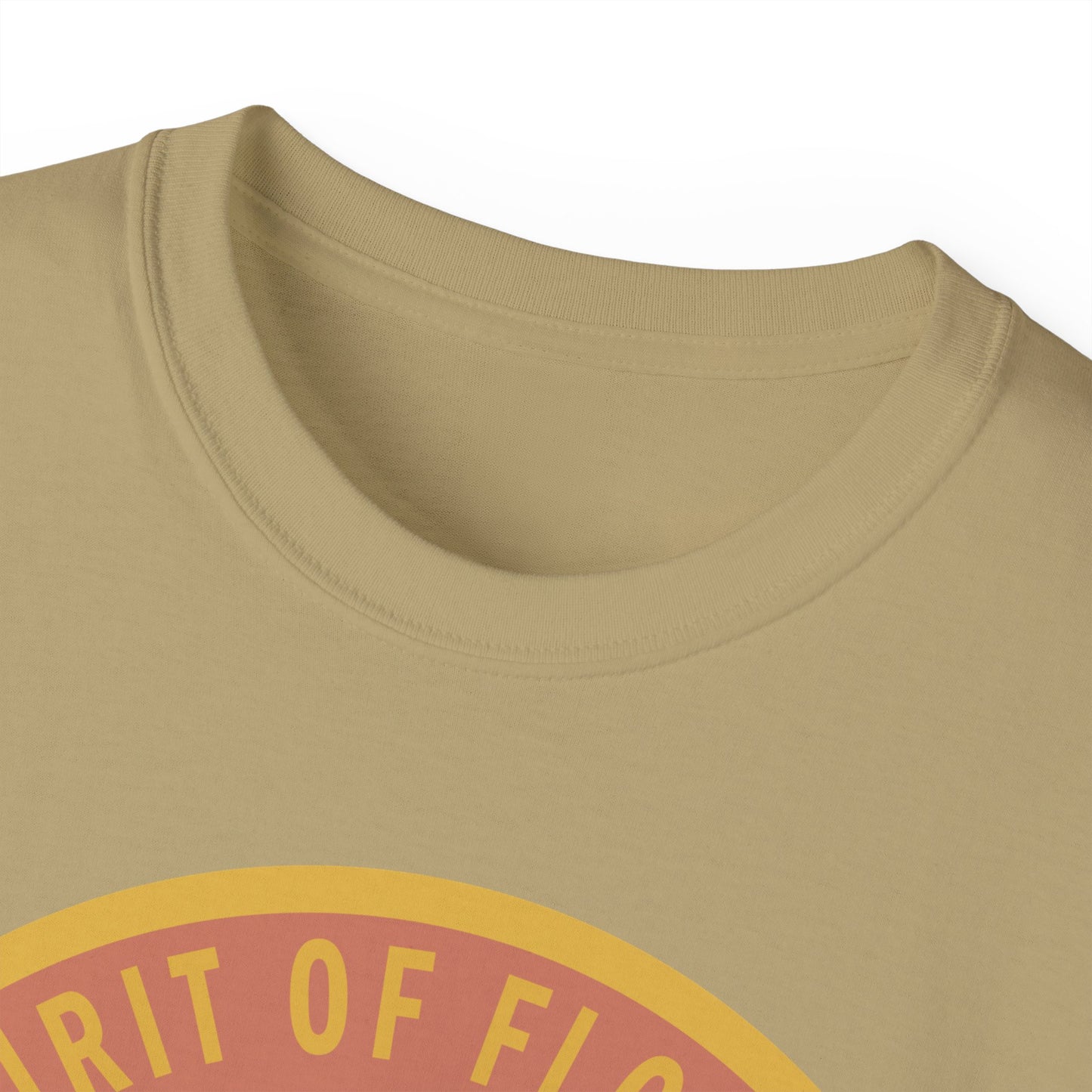 Unisex Ultra Cotton Tee - USAF - B2 - Spirit of Florida - Stealth Bomber wo txt X 300