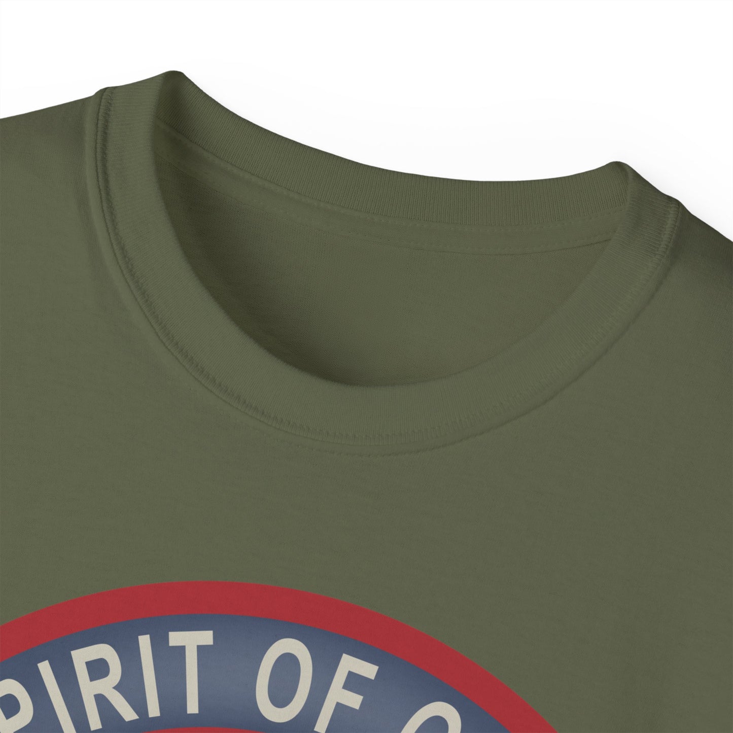 Unisex Ultra Cotton Tee - USAF - B2 - Spirit of Ohio - Stealth Bomber wo txt X 300
