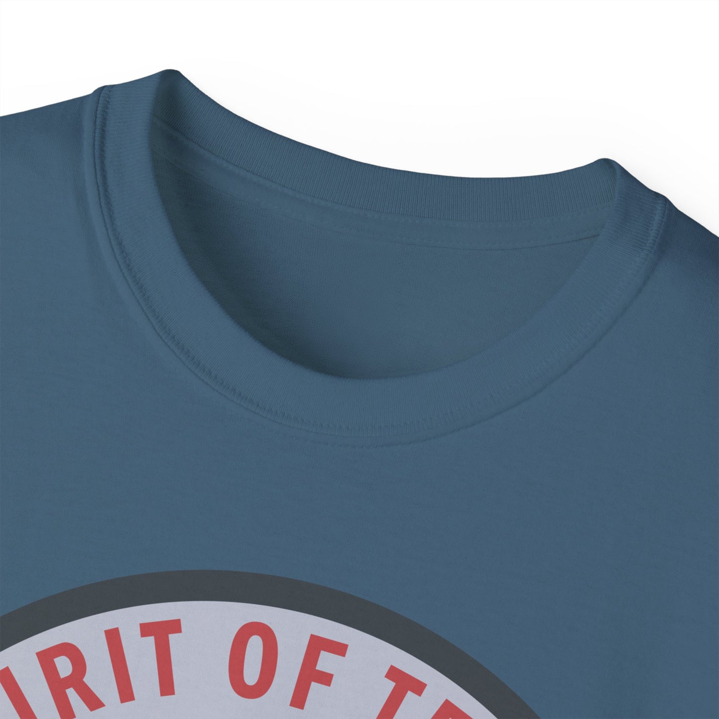 Unisex Ultra Cotton Tee - USAF - B2 - Spirit of Texas - Stealth Bomber wo txt X 300