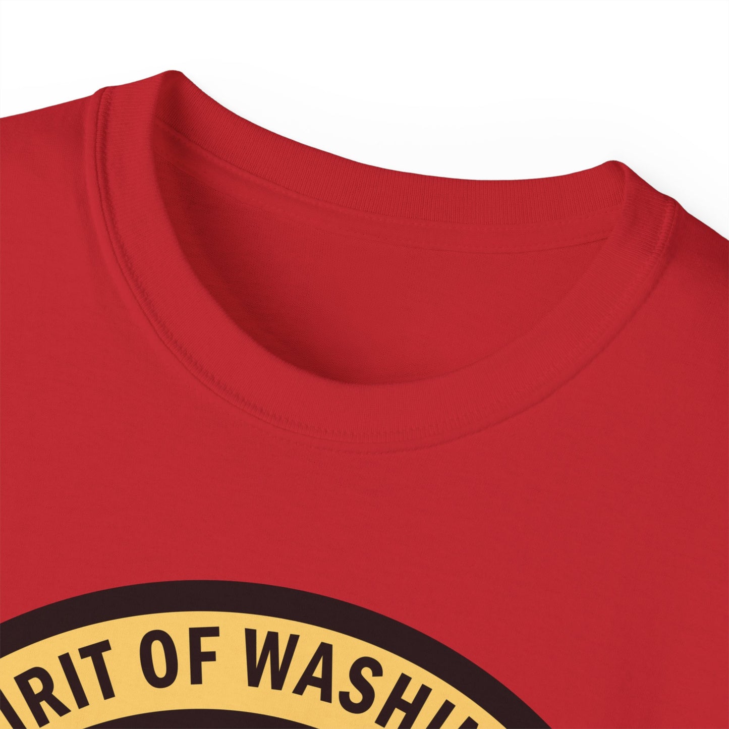 Unisex Ultra Cotton Tee - USAF - B2 - Spirit of Washington - Stealth Bomber wo txt X 300