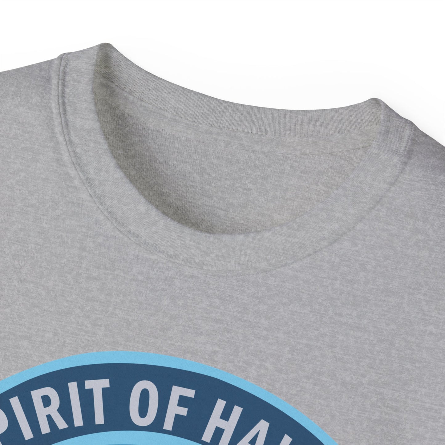 Unisex Ultra Cotton Tee - USAF - B2 - Spirit of Hawaii - Stealth Bomber wo txt X 300