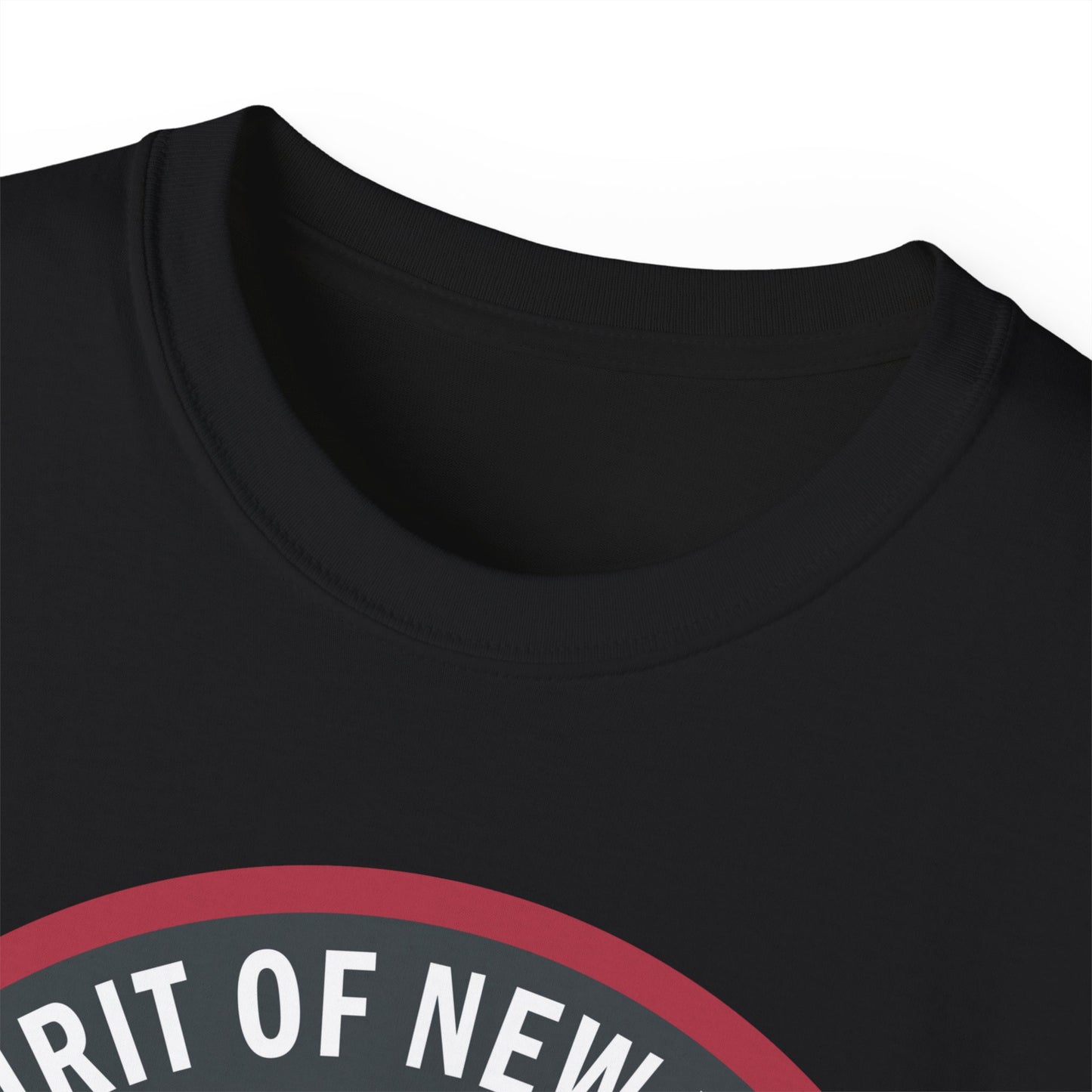 Unisex Ultra Cotton Tee - USAF - B2 - Spirit of New York - Stealth Bomber wo txt X 300