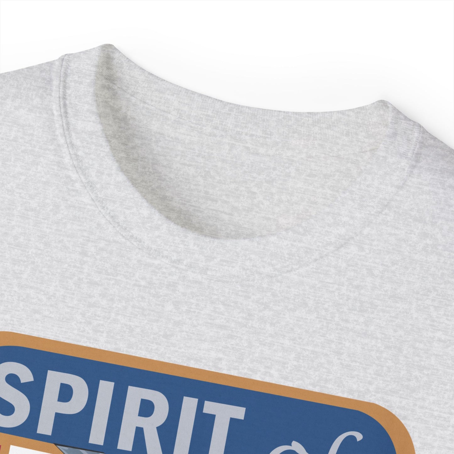Unisex Ultra Cotton Tee - USAF - B2 - Spirit of California - Stealth Bomber wo txt X 300