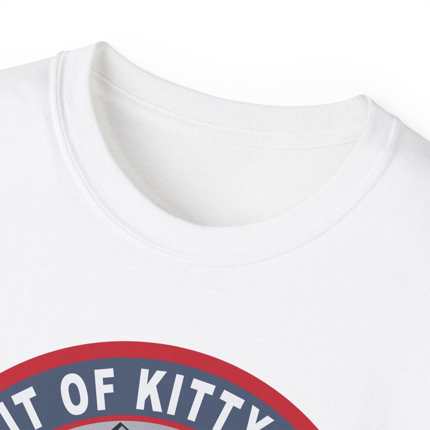 Unisex Ultra Cotton Tee -USAF - B2 - Spirit of Kitty Hawk - Stealth Bomber wo txt X 300