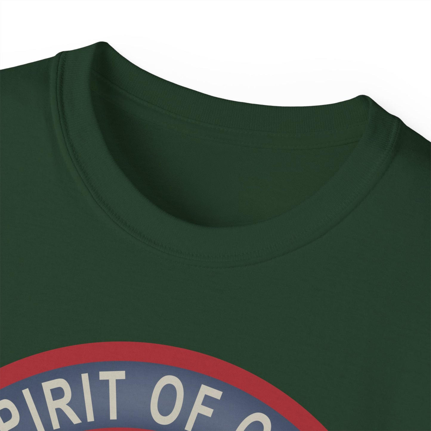 Unisex Ultra Cotton Tee - USAF - B2 - Spirit of Ohio - Stealth Bomber wo txt X 300
