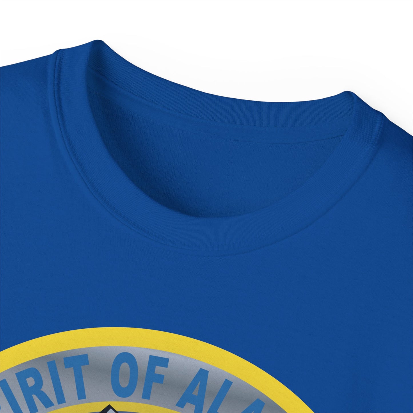 Unisex Ultra Cotton Tee - USAF - B2 - Spirit of Alaska - Stealth Bomber wo txt X 300
