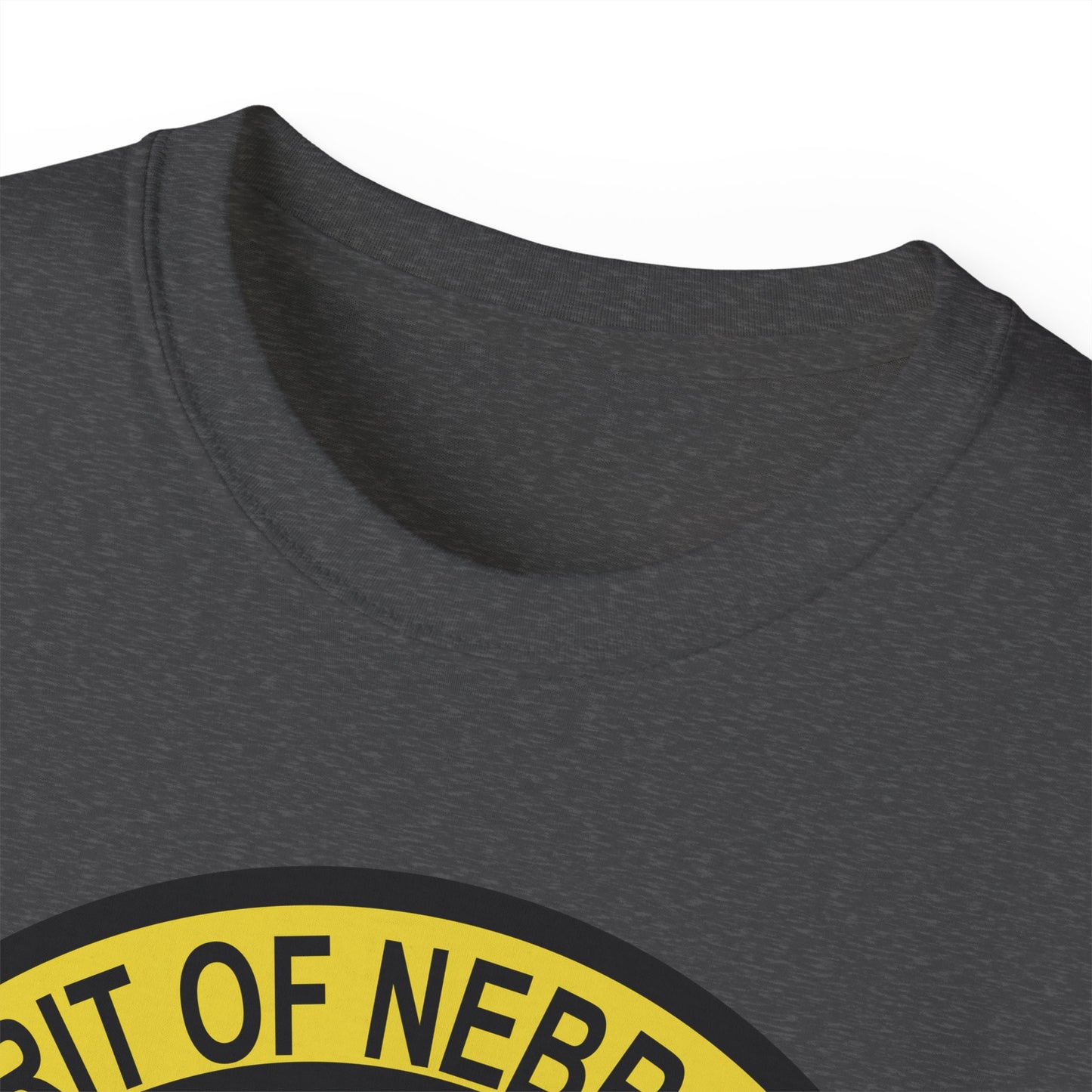 Unisex Ultra Cotton Tee - USAF - B2 - Spirit of Nebraska - Stealth Bomber wo txt X 300