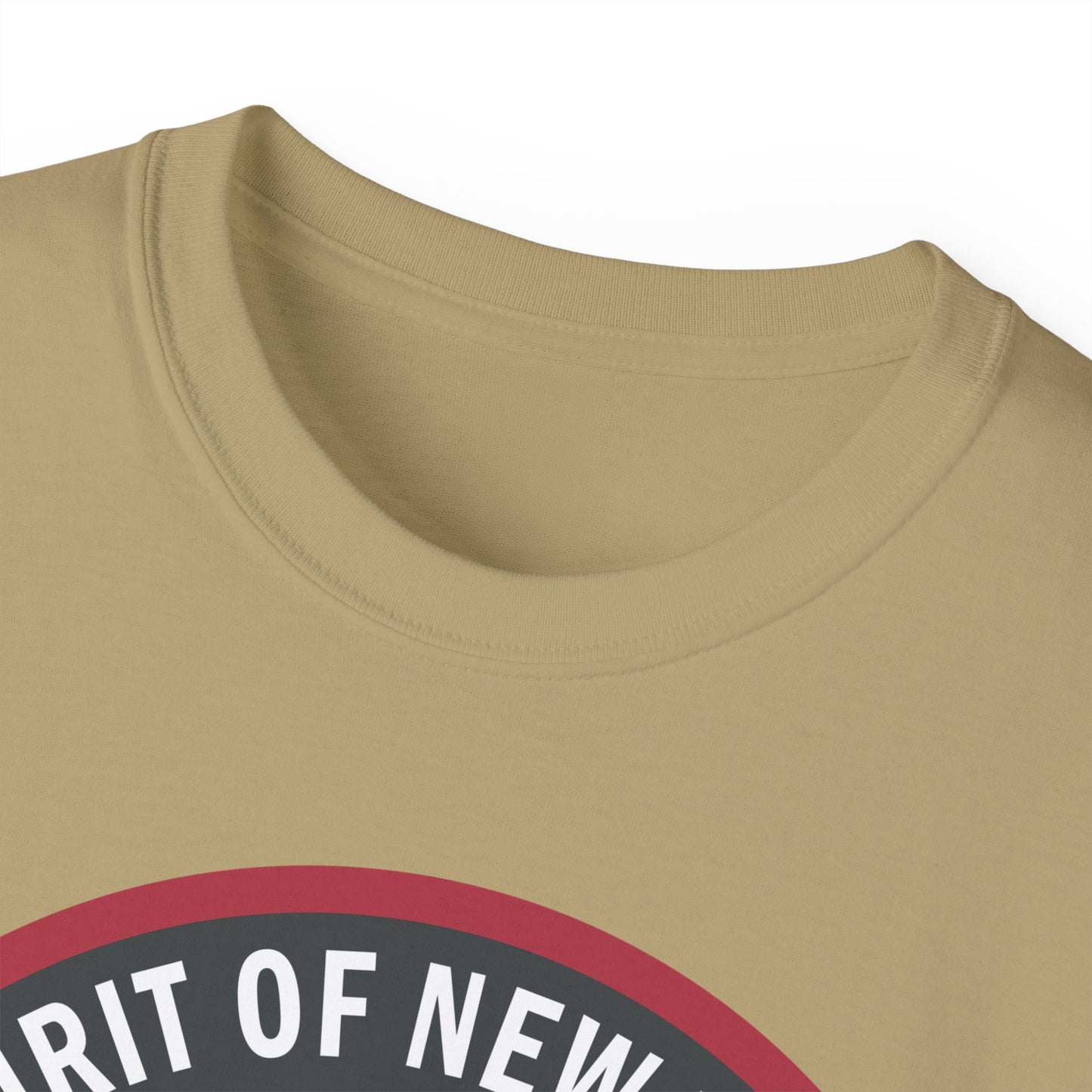 Unisex Ultra Cotton Tee - USAF - B2 - Spirit of New York - Stealth Bomber wo txt X 300