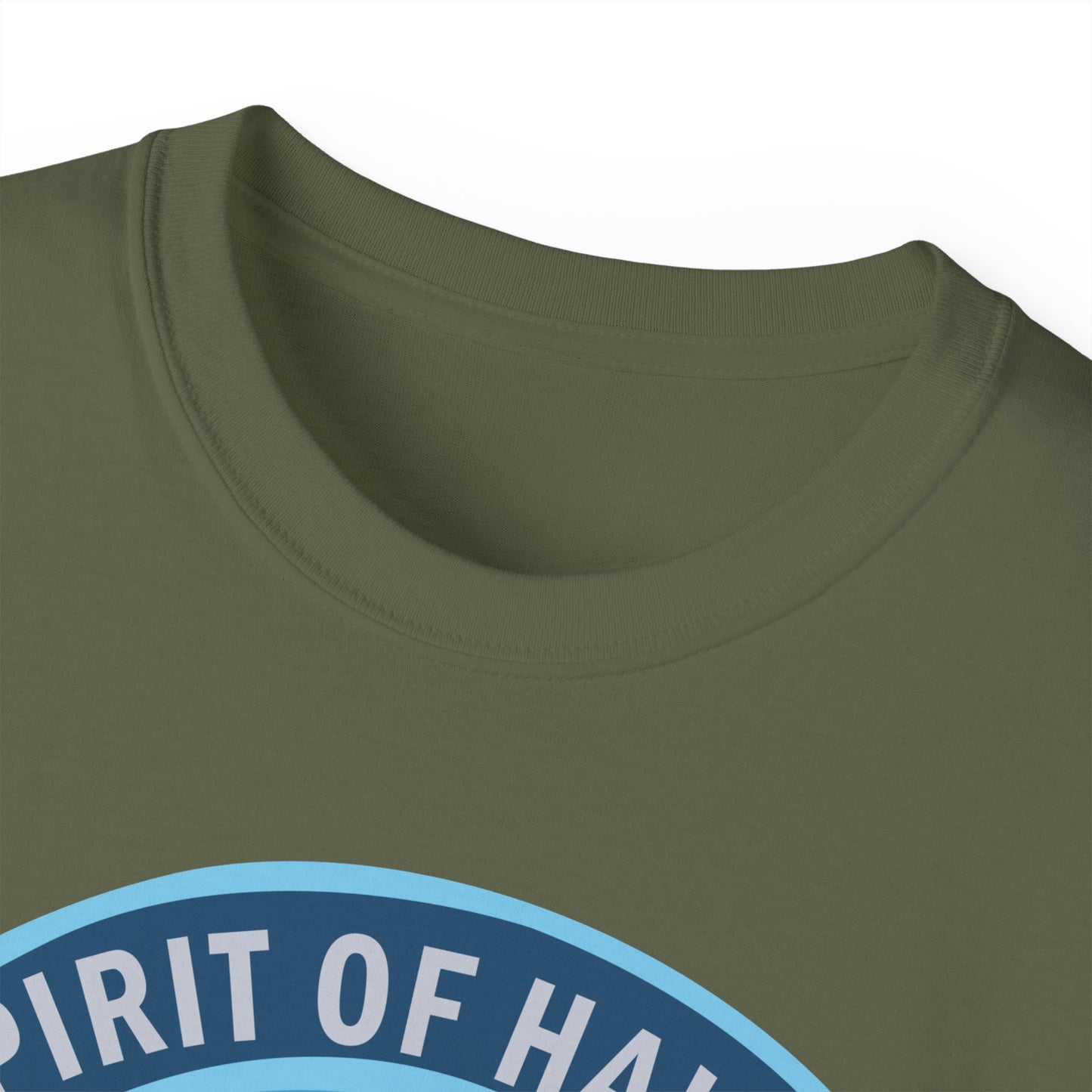 Unisex Ultra Cotton Tee - USAF - B2 - Spirit of Hawaii - Stealth Bomber wo txt X 300