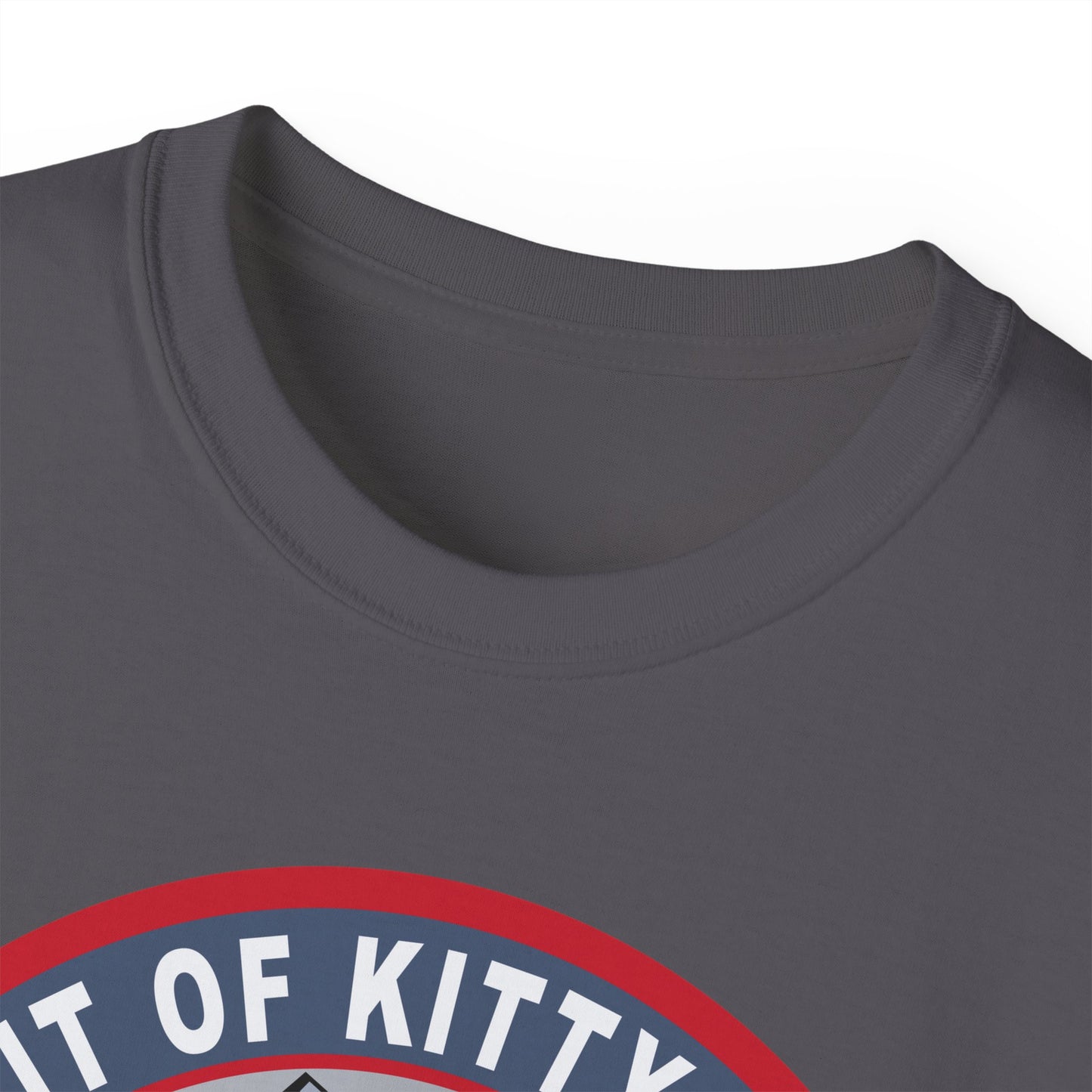 Unisex Ultra Cotton Tee -USAF - B2 - Spirit of Kitty Hawk - Stealth Bomber wo txt X 300