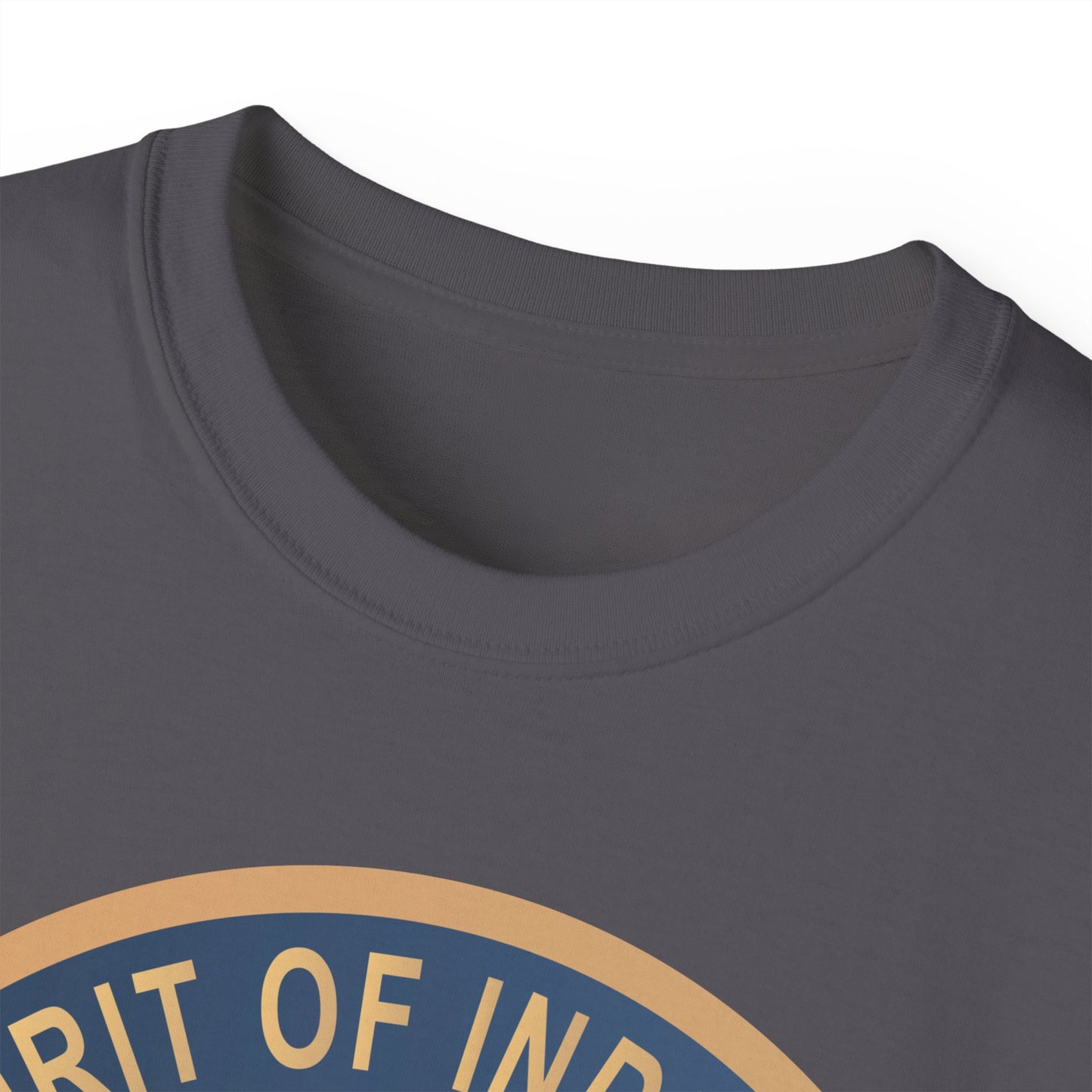 Unisex Ultra Cotton Tee - USAF - B2 - Spirit of Indiana - Stealth Bomber wo txt X 300