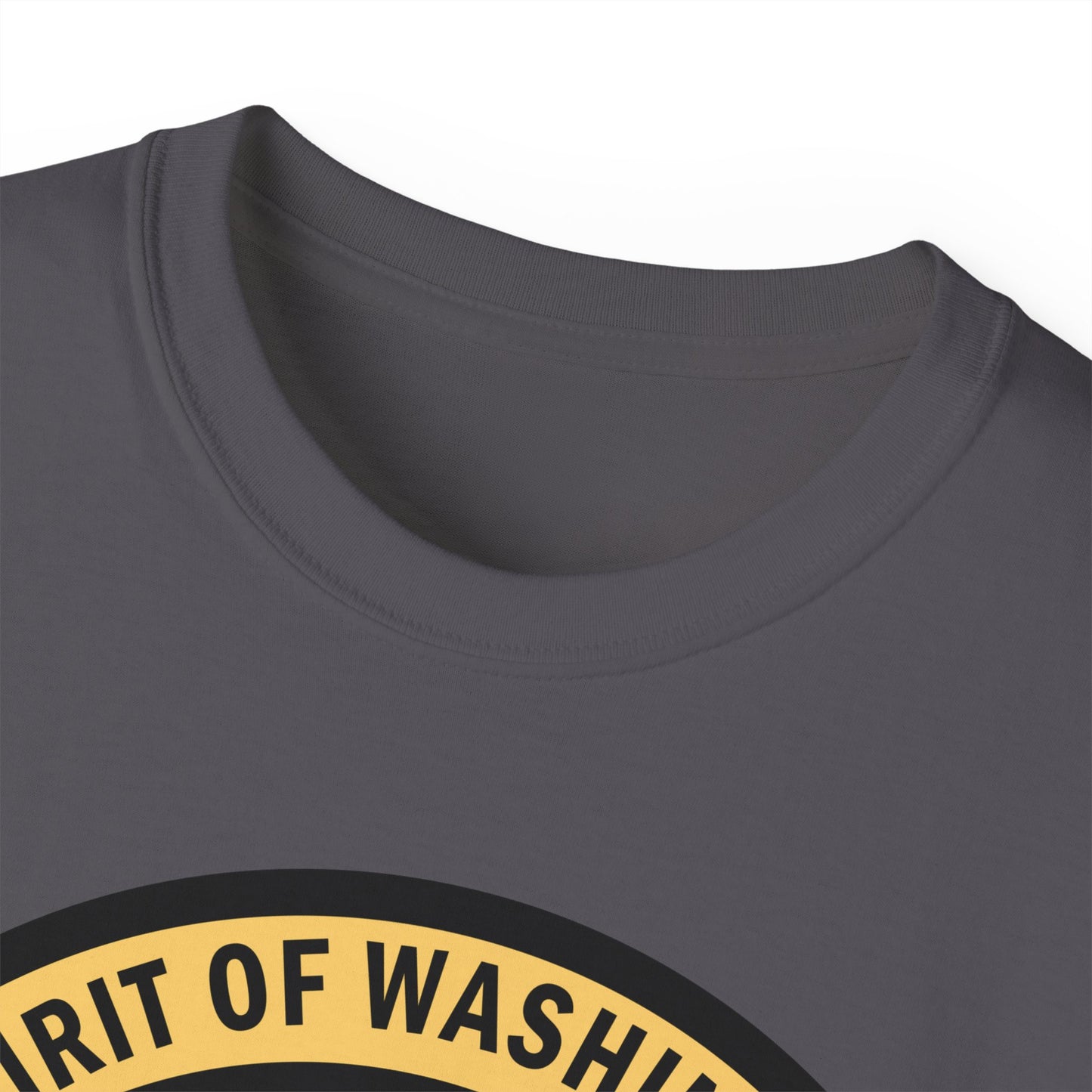 Unisex Ultra Cotton Tee - USAF - B2 - Spirit of Washington - Stealth Bomber wo txt X 300