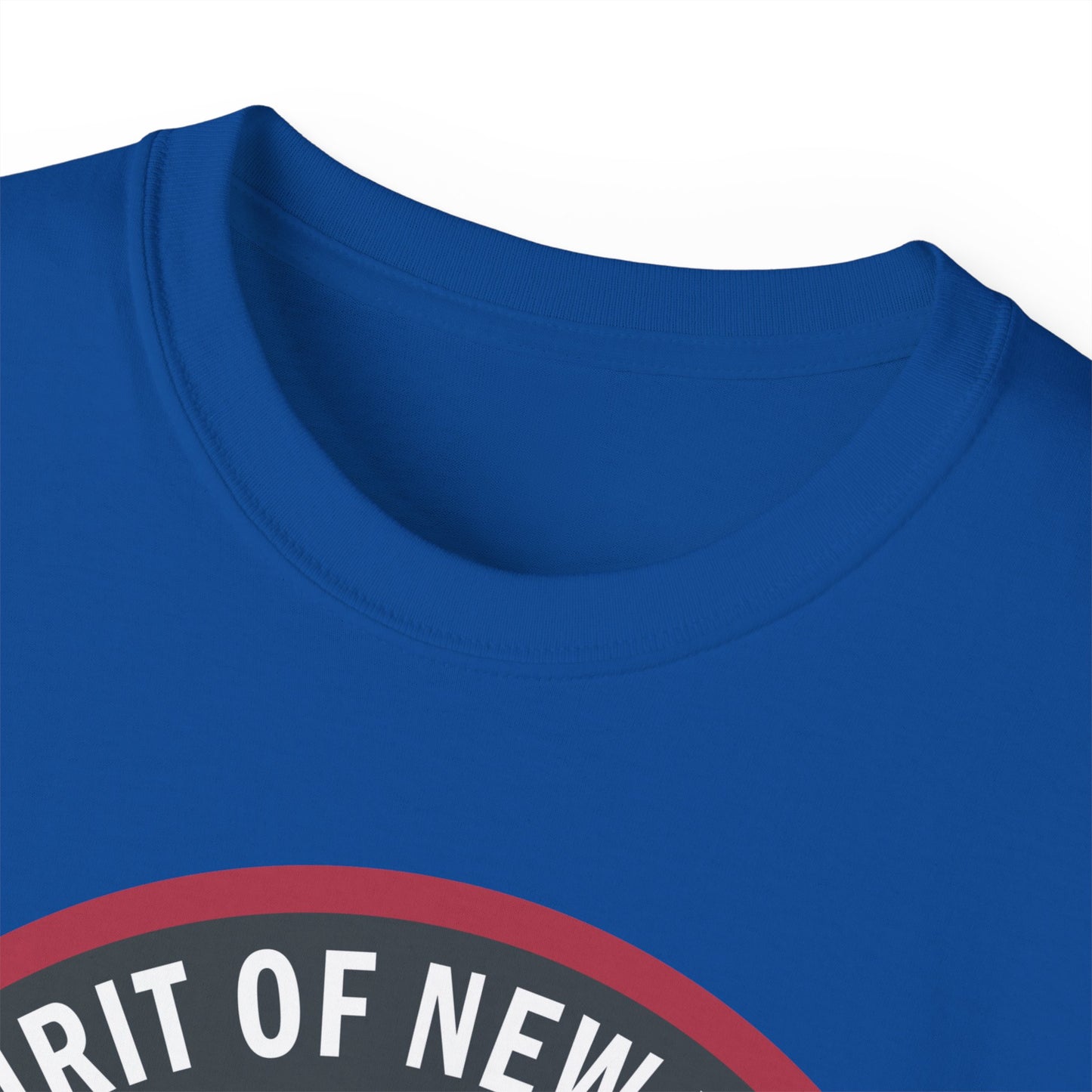 Unisex Ultra Cotton Tee - USAF - B2 - Spirit of New York - Stealth Bomber wo txt X 300