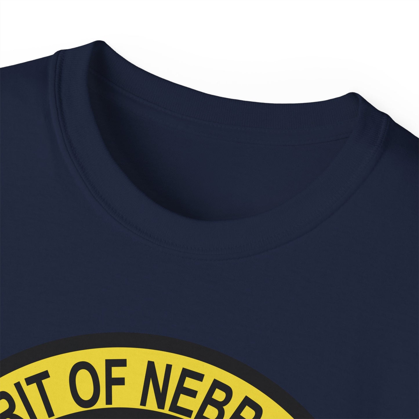 Unisex Ultra Cotton Tee - USAF - B2 - Spirit of Nebraska - Stealth Bomber wo txt X 300