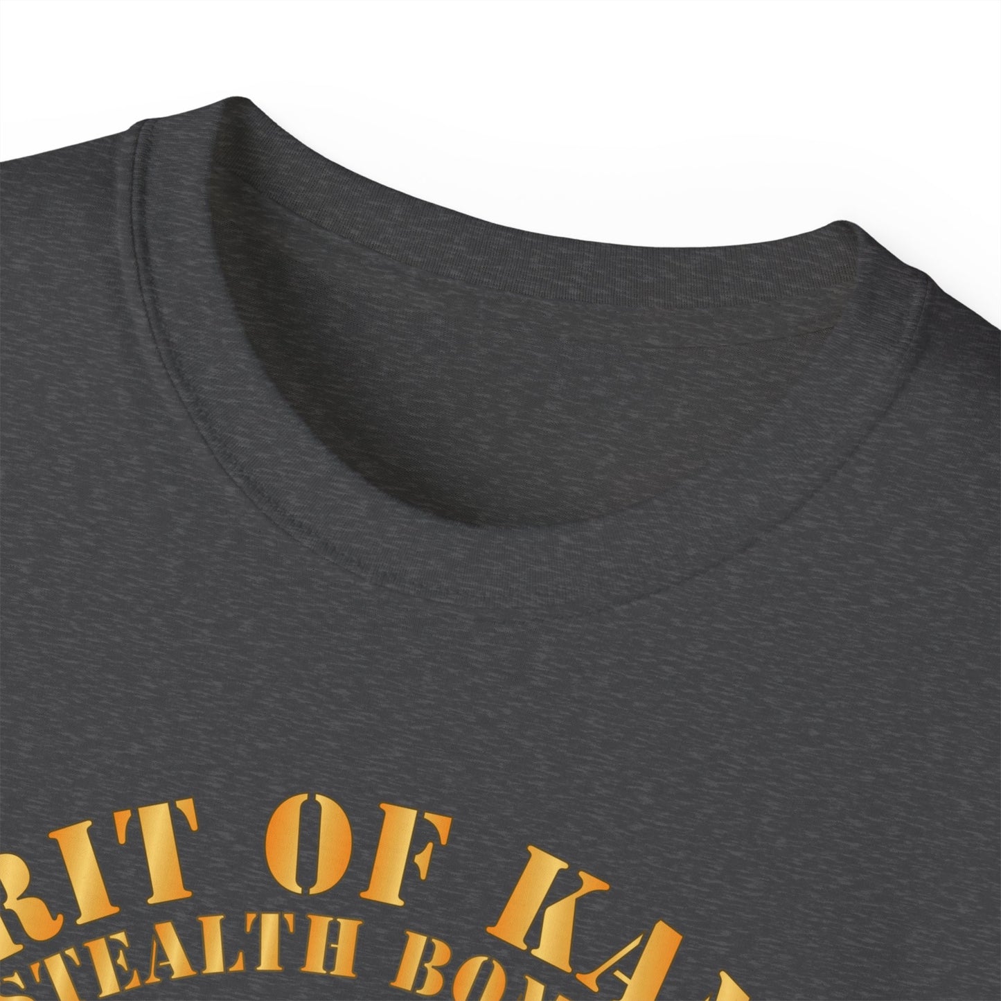 Unisex Ultra Cotton Tee -USAF - B2 - Spirit of Kansas - Stealth Bomber X 300