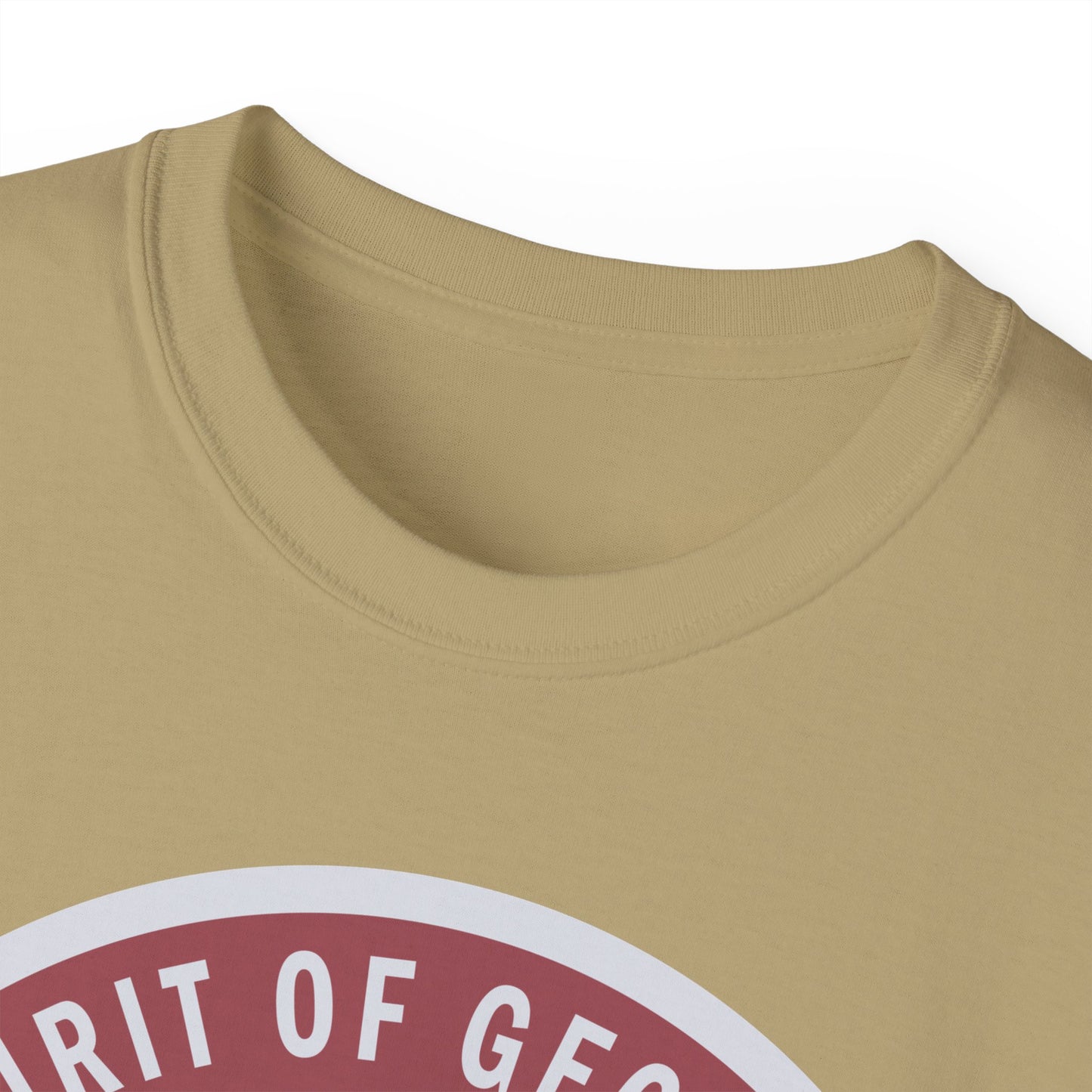 Unisex Ultra Cotton Tee - USAF - B2 - Spirit of Georgia - Stealth Bomber wo txt X 300