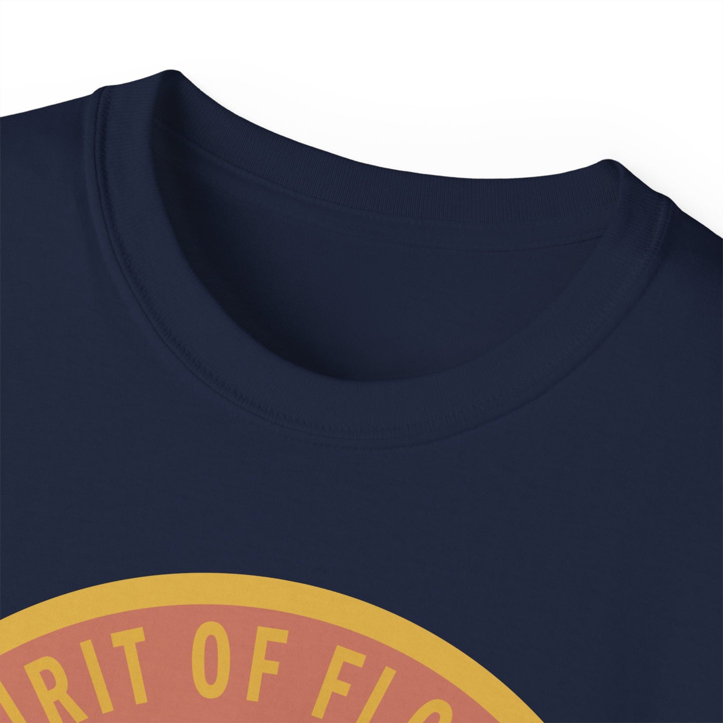 Unisex Ultra Cotton Tee - USAF - B2 - Spirit of Florida - Stealth Bomber wo txt X 300