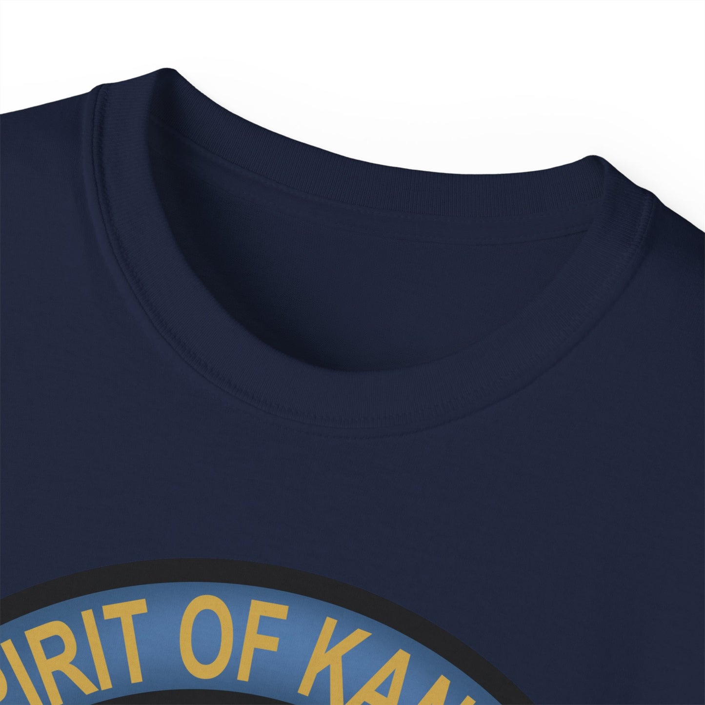 Unisex Ultra Cotton Tee - USAF - B2 - Spirit of Kansas - Stealth Bomber wo txt X 300
