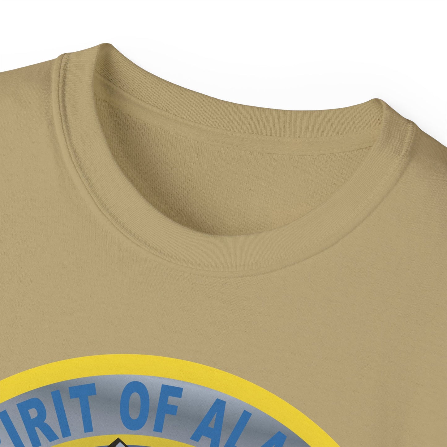 Unisex Ultra Cotton Tee - USAF - B2 - Spirit of Alaska - Stealth Bomber wo txt X 300