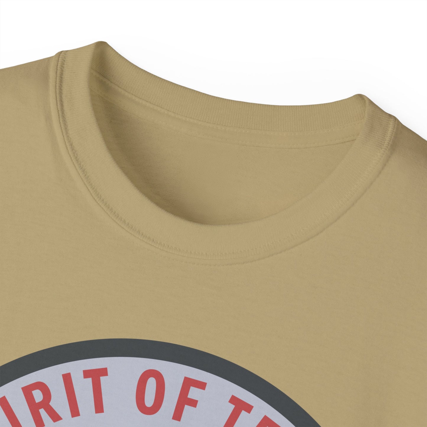 Unisex Ultra Cotton Tee - USAF - B2 - Spirit of Texas - Stealth Bomber wo txt X 300