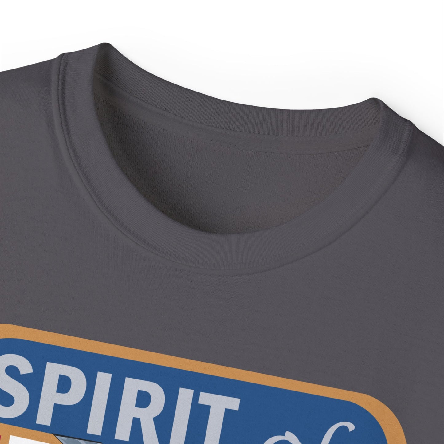 Unisex Ultra Cotton Tee - USAF - B2 - Spirit of California - Stealth Bomber wo txt X 300