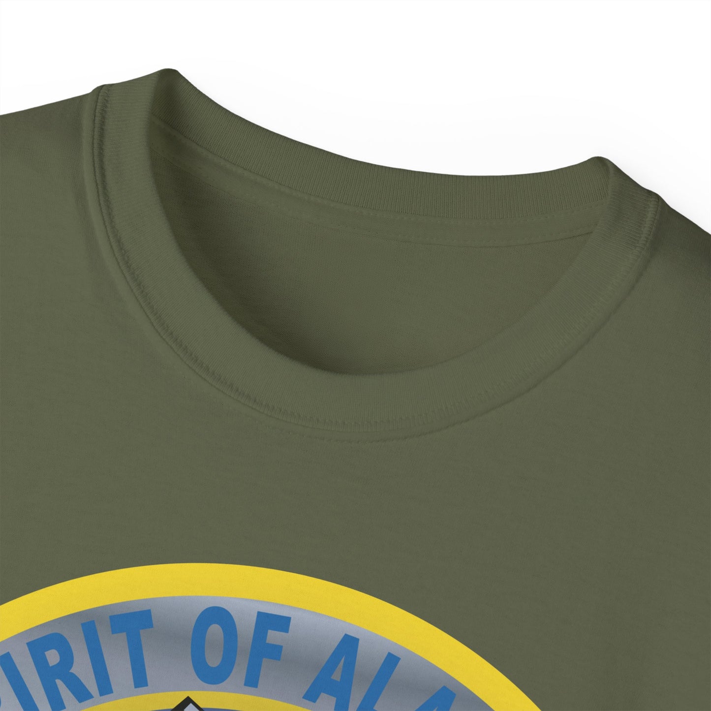 Unisex Ultra Cotton Tee - USAF - B2 - Spirit of Alaska - Stealth Bomber wo txt X 300