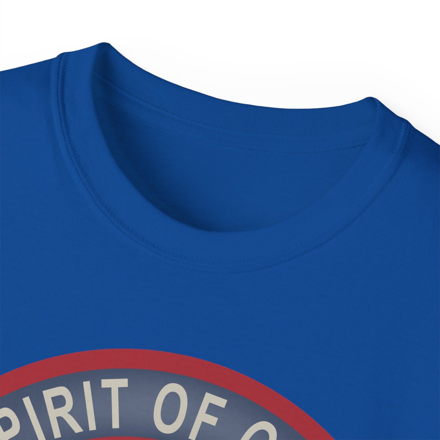 Unisex Ultra Cotton Tee - USAF - B2 - Spirit of Ohio - Stealth Bomber wo txt X 300