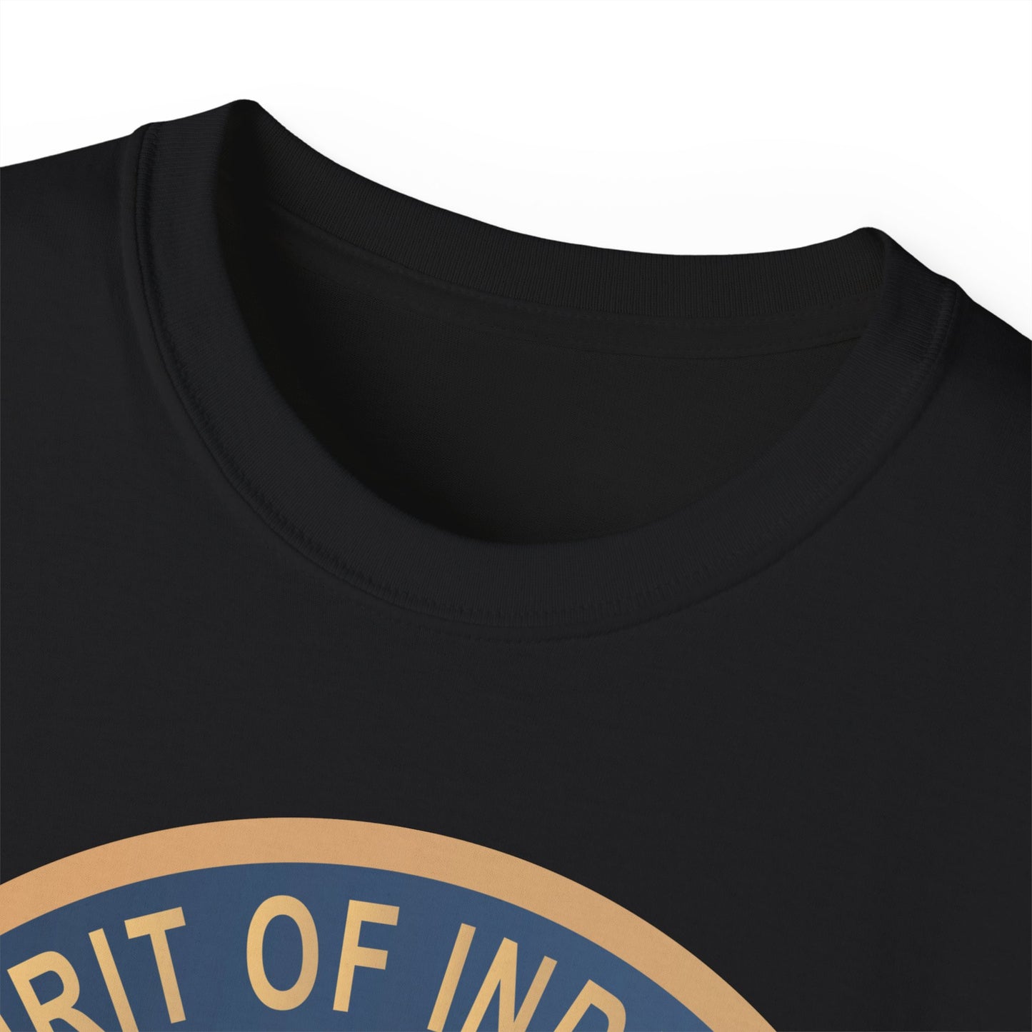 Unisex Ultra Cotton Tee - USAF - B2 - Spirit of Indiana - Stealth Bomber wo txt X 300