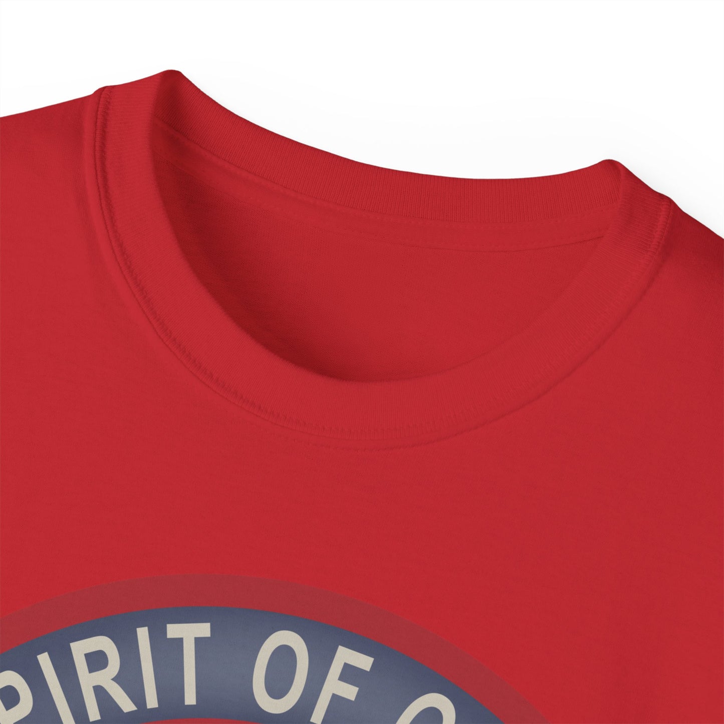Unisex Ultra Cotton Tee - USAF - B2 - Spirit of Ohio - Stealth Bomber wo txt X 300
