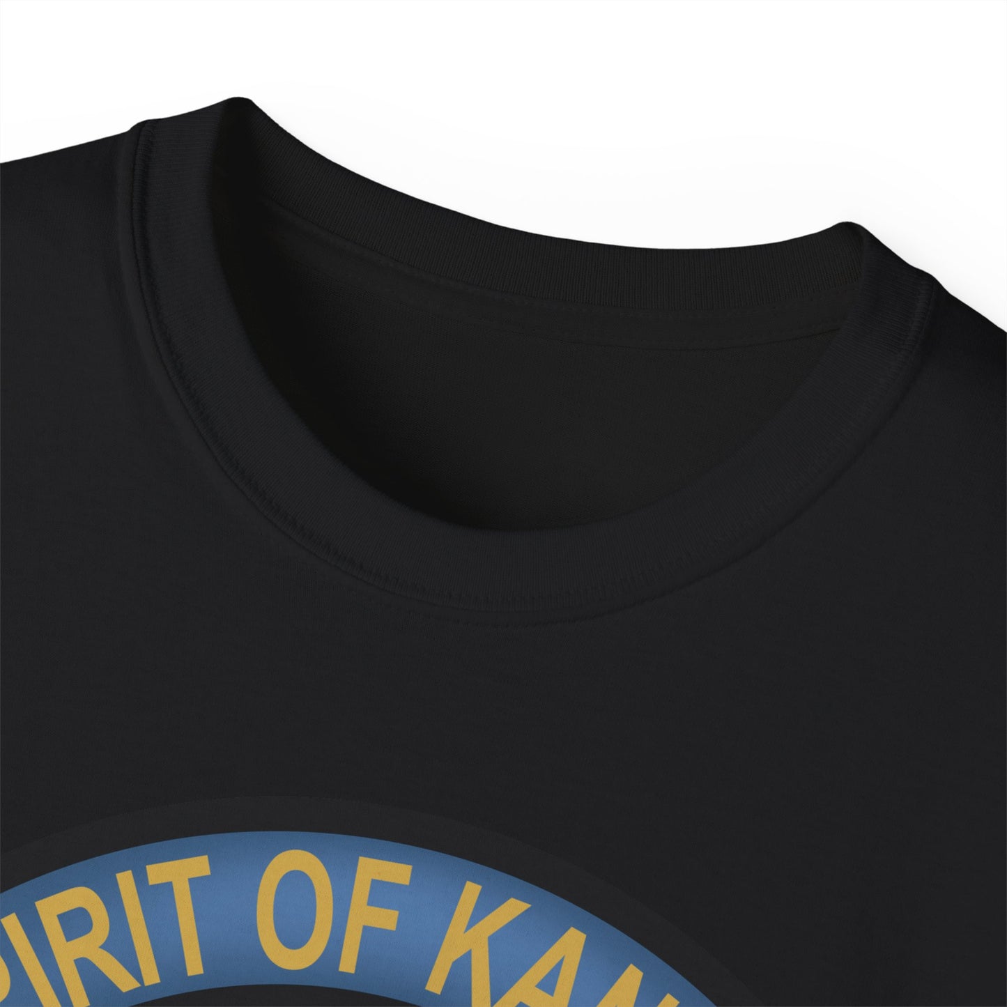 Unisex Ultra Cotton Tee - USAF - B2 - Spirit of Kansas - Stealth Bomber wo txt X 300