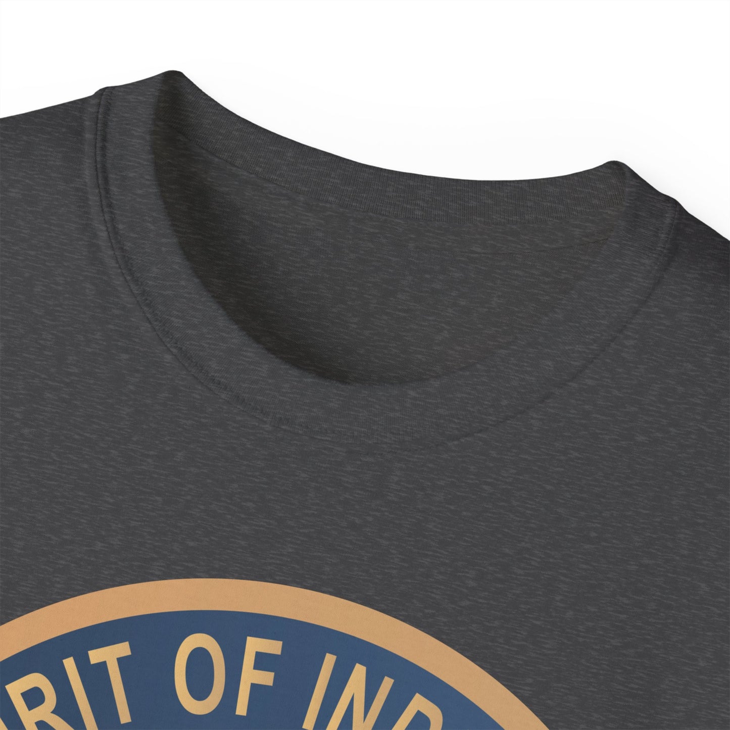 Unisex Ultra Cotton Tee - USAF - B2 - Spirit of Indiana - Stealth Bomber wo txt X 300