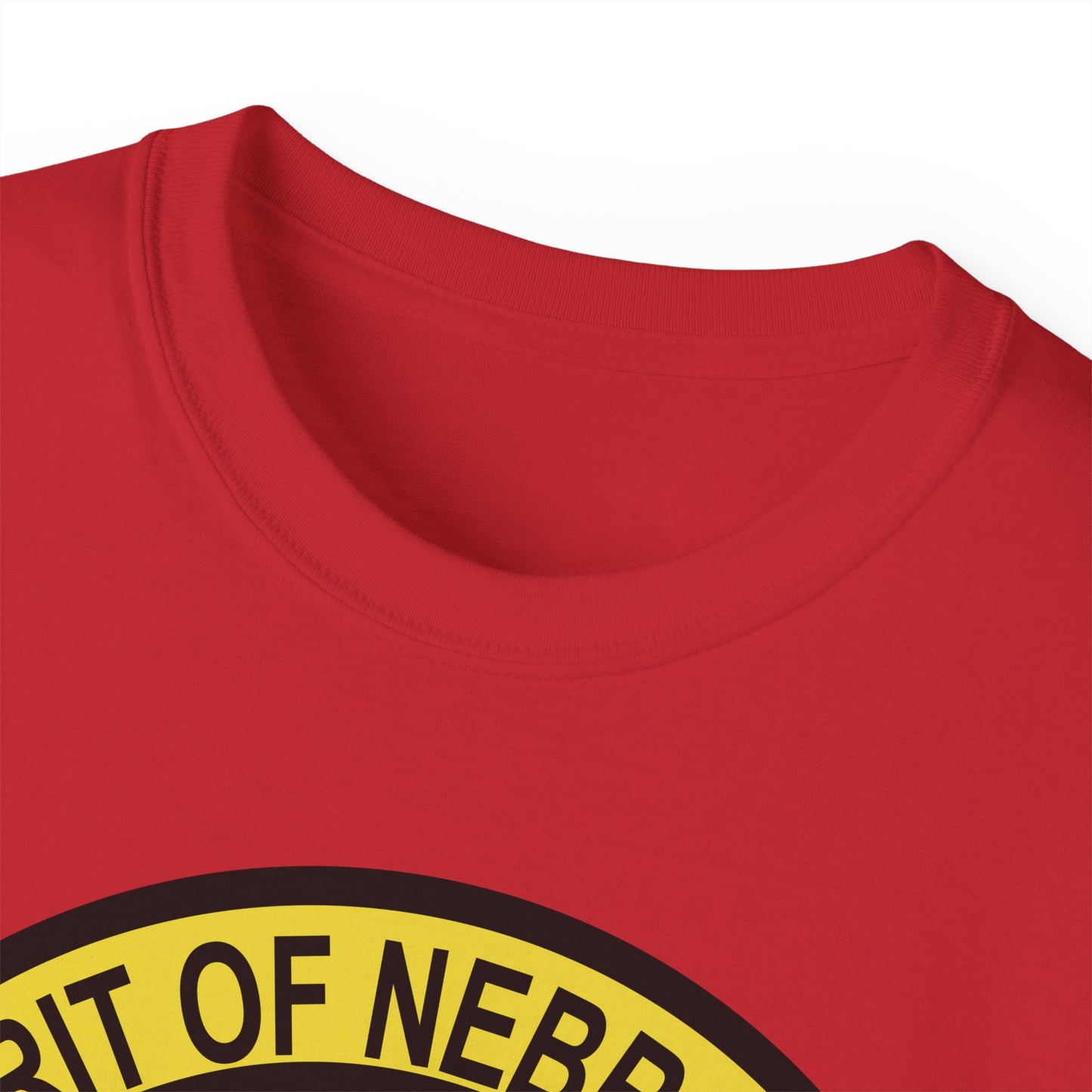 Unisex Ultra Cotton Tee - USAF - B2 - Spirit of Nebraska - Stealth Bomber wo txt X 300