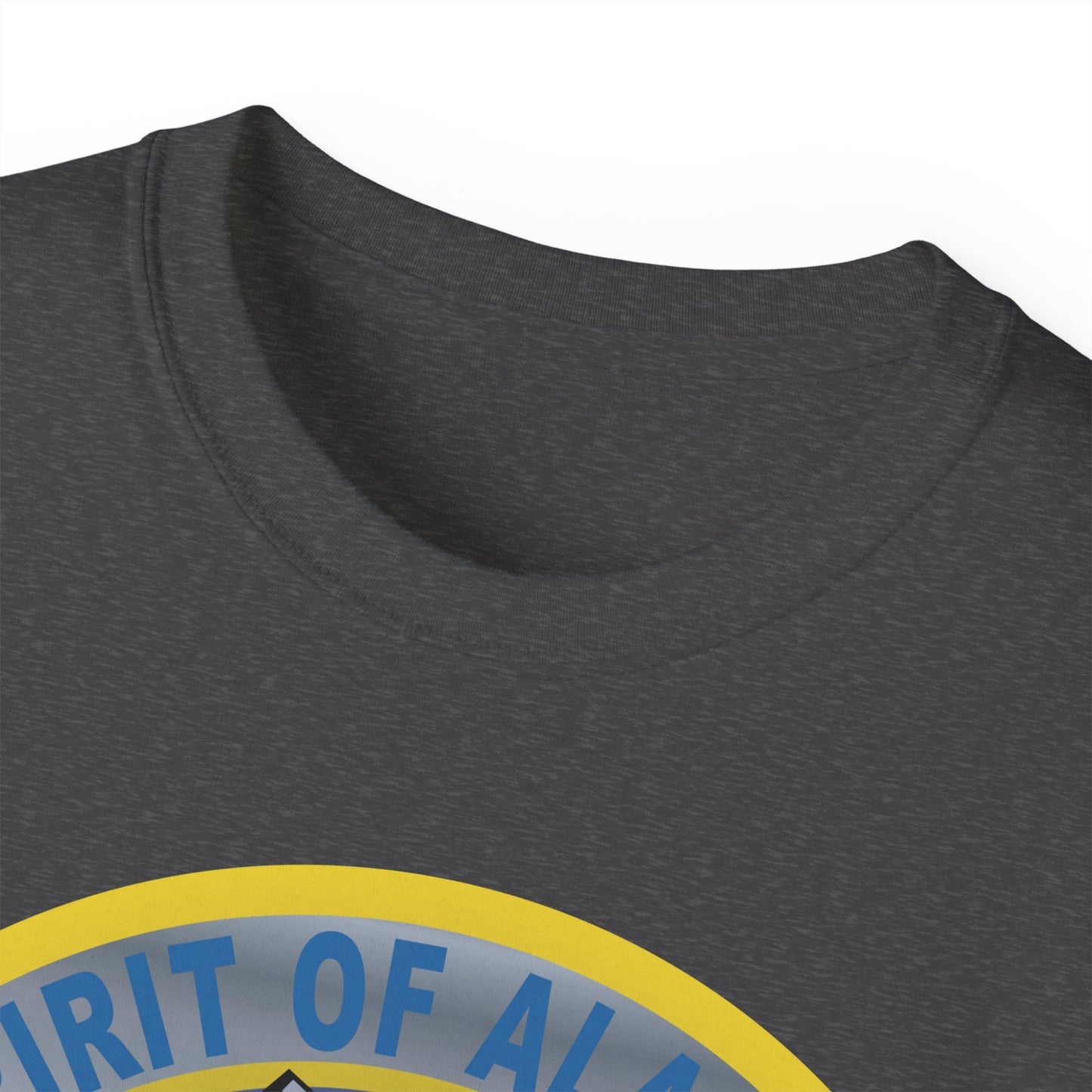 Unisex Ultra Cotton Tee - USAF - B2 - Spirit of Alaska - Stealth Bomber wo txt X 300
