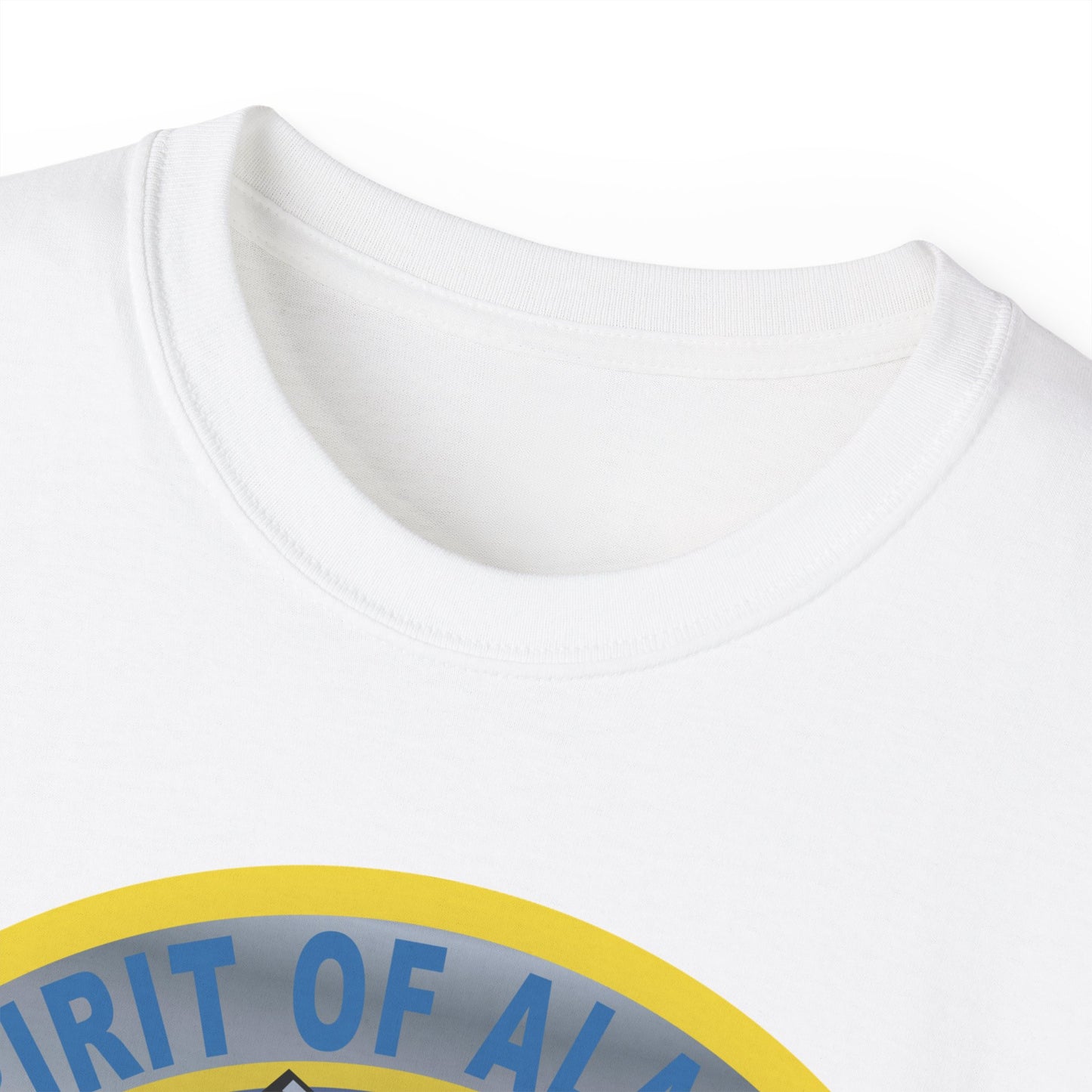 Unisex Ultra Cotton Tee - USAF - B2 - Spirit of Alaska - Stealth Bomber wo txt X 300