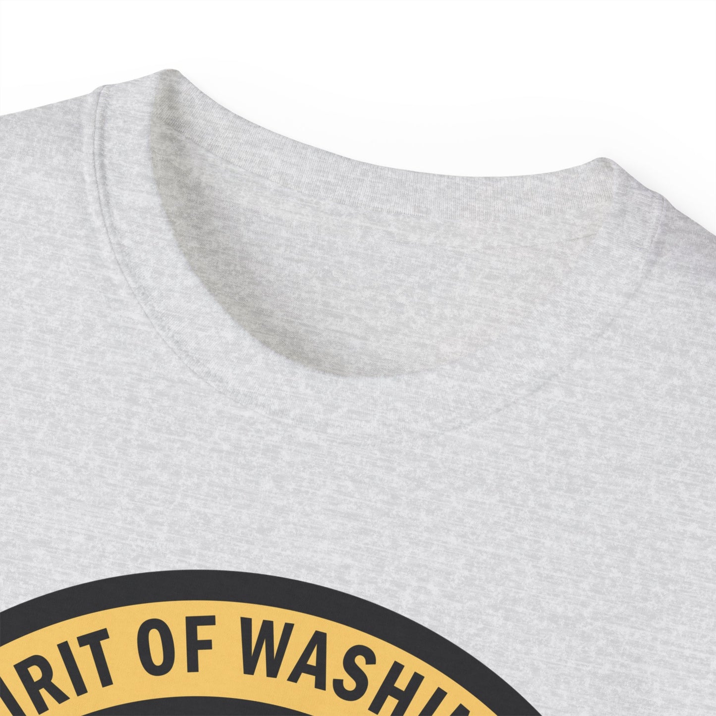 Unisex Ultra Cotton Tee - USAF - B2 - Spirit of Washington - Stealth Bomber wo txt X 300