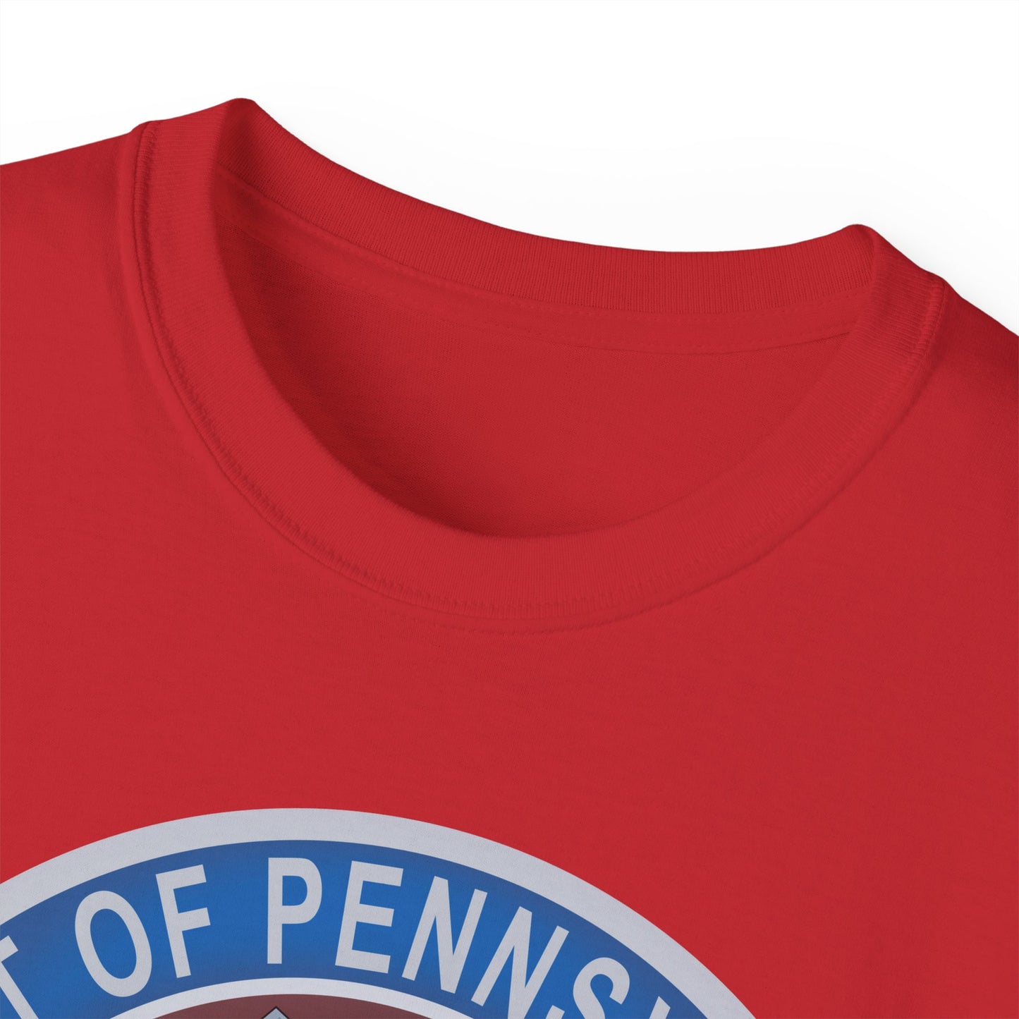 Unisex Ultra Cotton Tee - USAF - B2 - Spirit of Pennsylvania Stealth Bomber wo Txt X 300