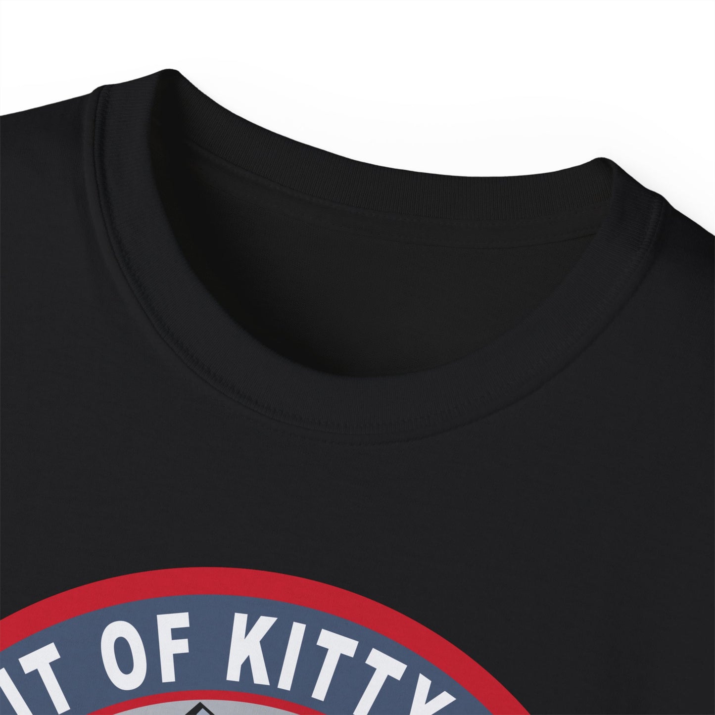Unisex Ultra Cotton Tee -USAF - B2 - Spirit of Kitty Hawk - Stealth Bomber wo txt X 300