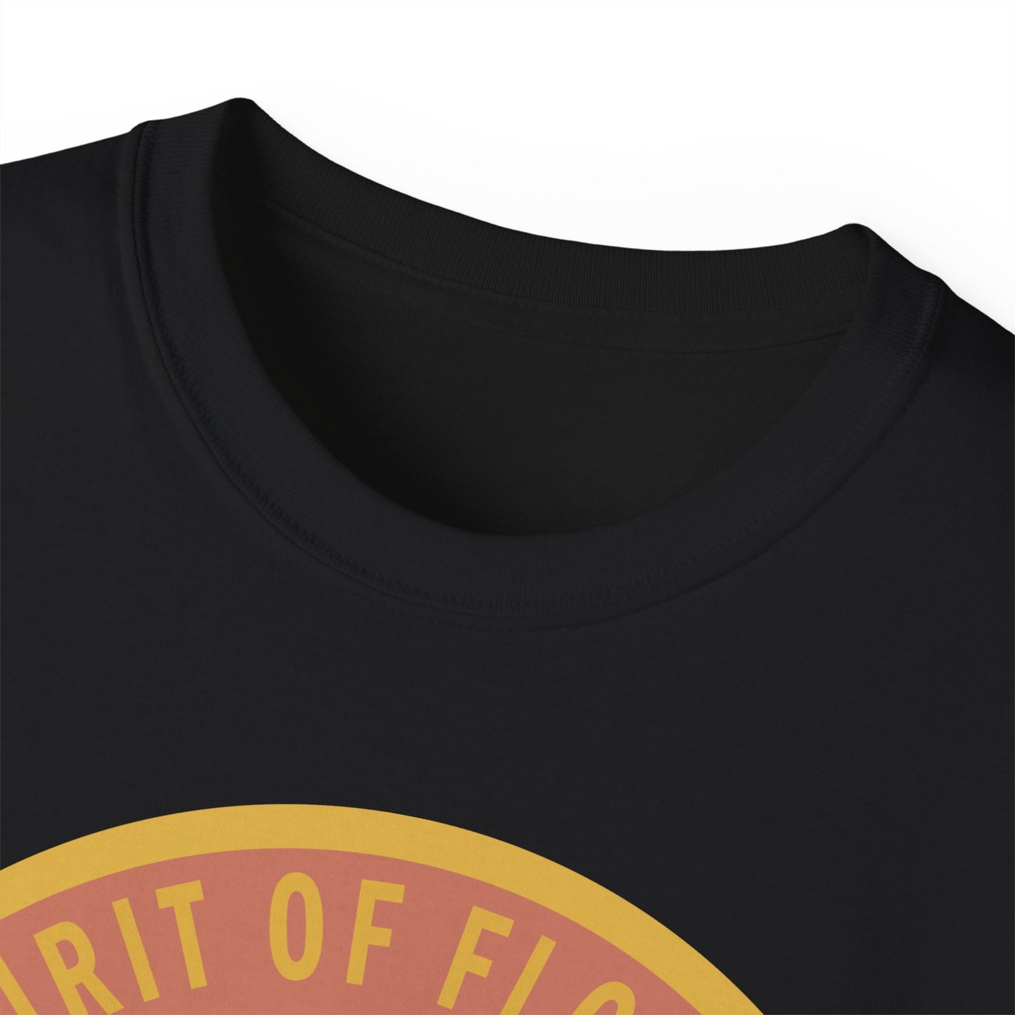 Unisex Ultra Cotton Tee - USAF - B2 - Spirit of Florida - Stealth Bomber wo txt X 300