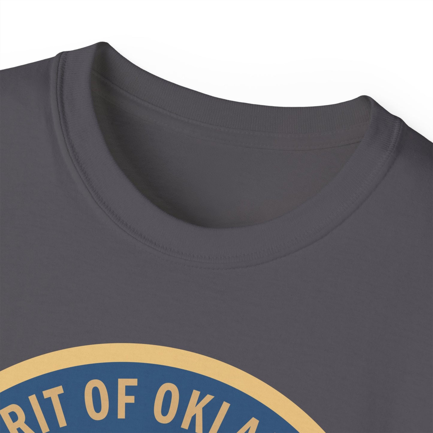 Unisex Ultra Cotton Tee - USAF - B2 - Spirit of Oklahoma - Stealth Bomber wo txt X 300