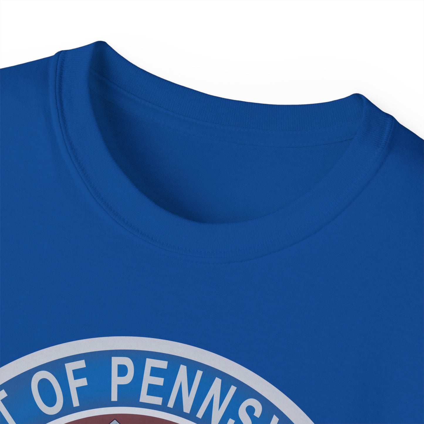Unisex Ultra Cotton Tee - USAF - B2 - Spirit of Pennsylvania Stealth Bomber wo Txt X 300