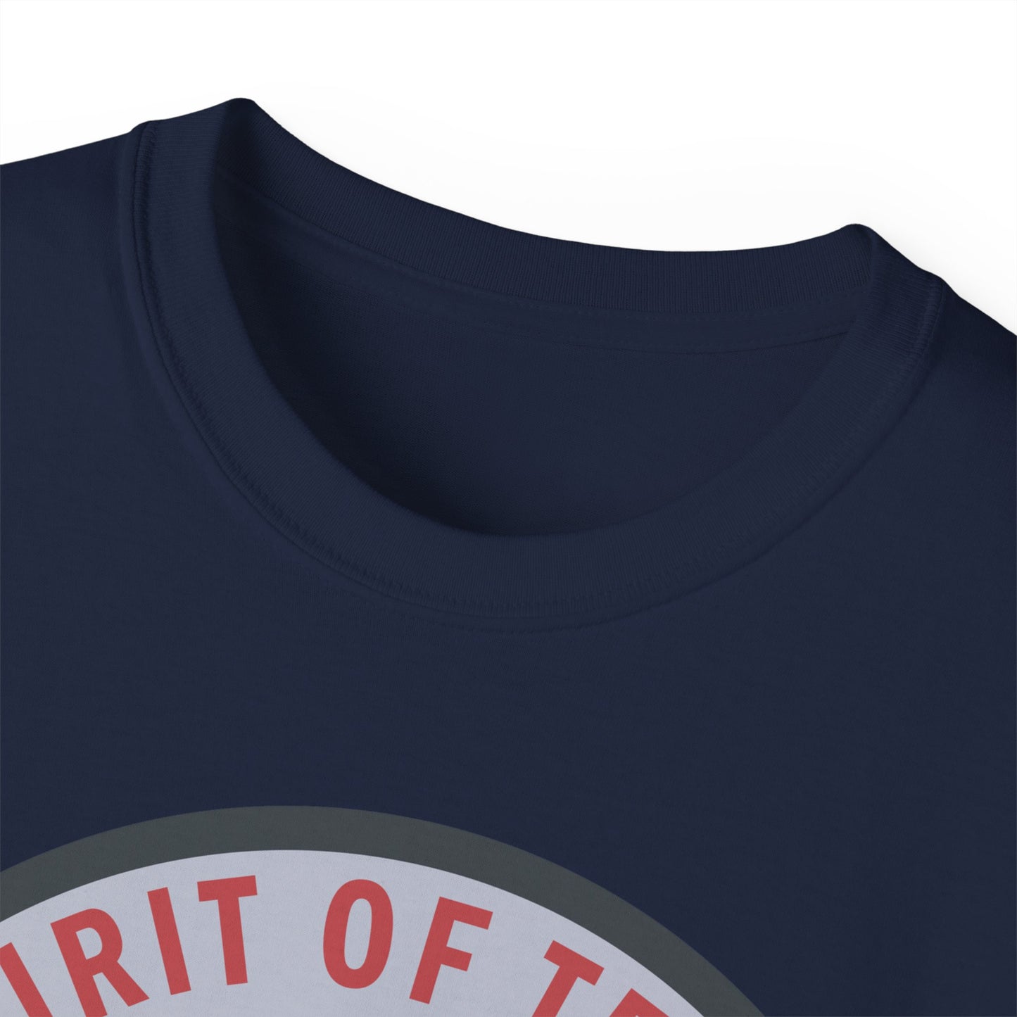 Unisex Ultra Cotton Tee - USAF - B2 - Spirit of Texas - Stealth Bomber wo txt X 300