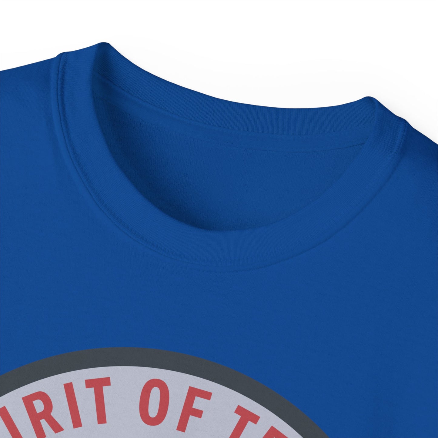 Unisex Ultra Cotton Tee - USAF - B2 - Spirit of Texas - Stealth Bomber wo txt X 300