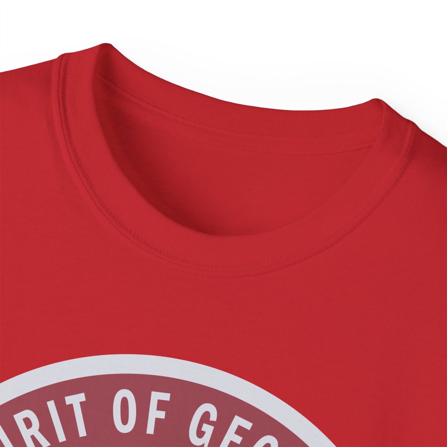 Unisex Ultra Cotton Tee - USAF - B2 - Spirit of Georgia - Stealth Bomber wo txt X 300