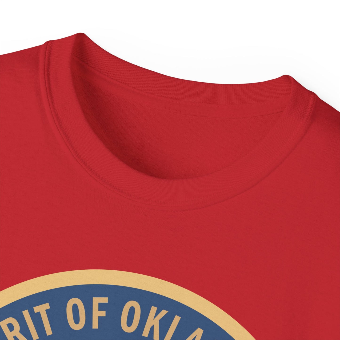 Unisex Ultra Cotton Tee - USAF - B2 - Spirit of Oklahoma - Stealth Bomber wo txt X 300