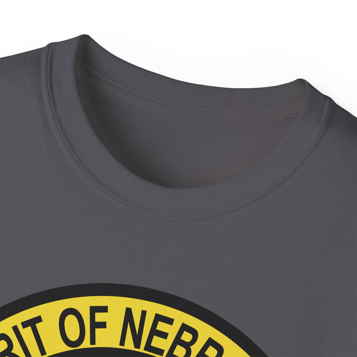 Unisex Ultra Cotton Tee - USAF - B2 - Spirit of Nebraska - Stealth Bomber wo txt X 300