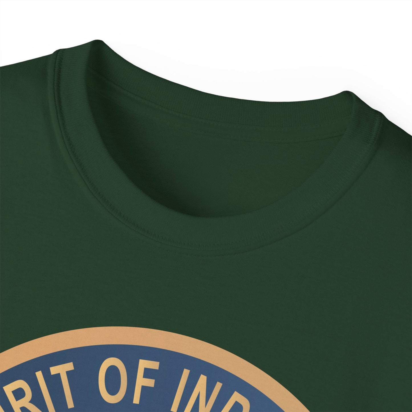 Unisex Ultra Cotton Tee - USAF - B2 - Spirit of Indiana - Stealth Bomber wo txt X 300