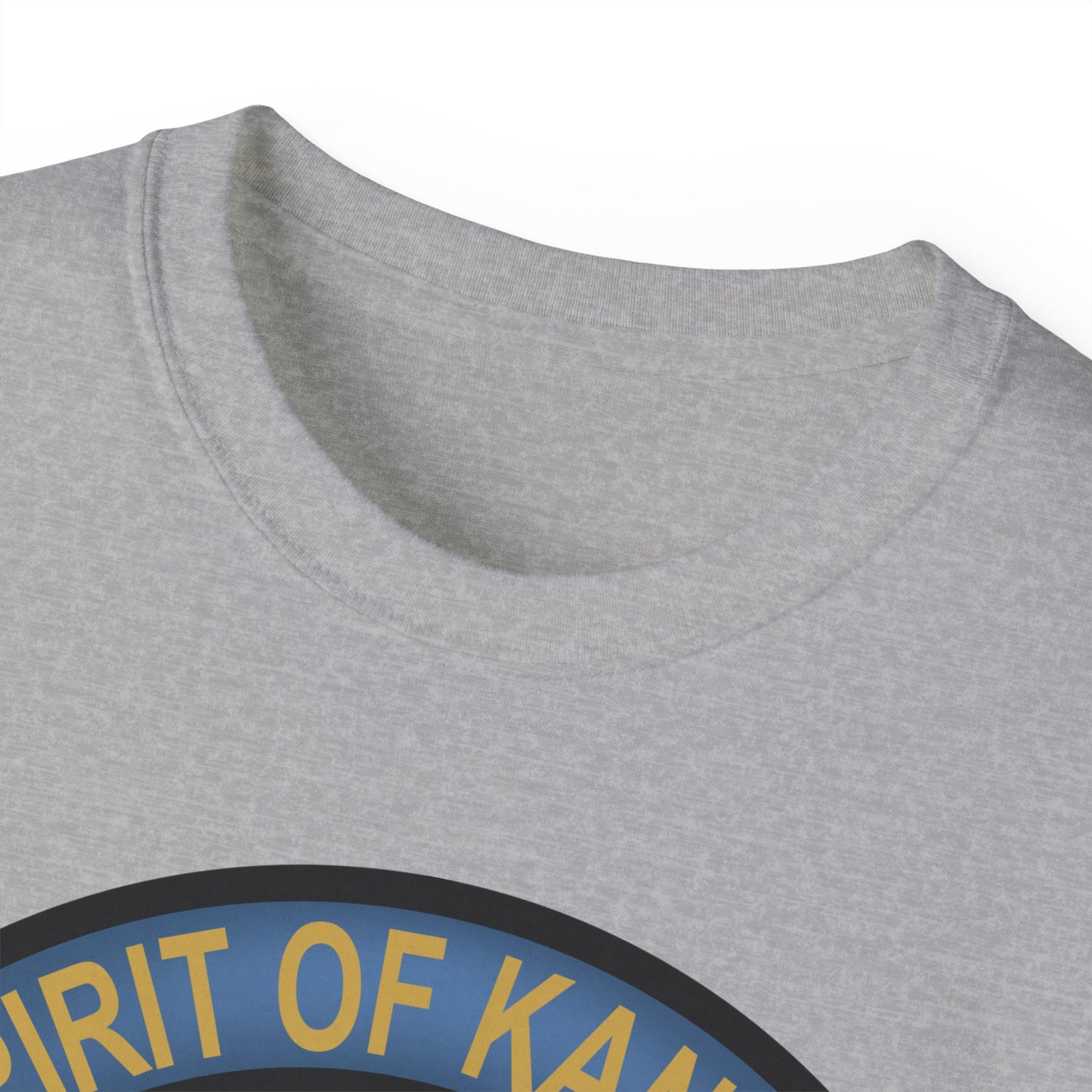 Unisex Ultra Cotton Tee - USAF - B2 - Spirit of Kansas - Stealth Bomber wo txt X 300
