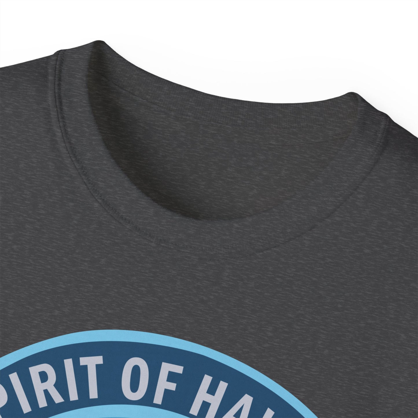 Unisex Ultra Cotton Tee - USAF - B2 - Spirit of Hawaii - Stealth Bomber wo txt X 300