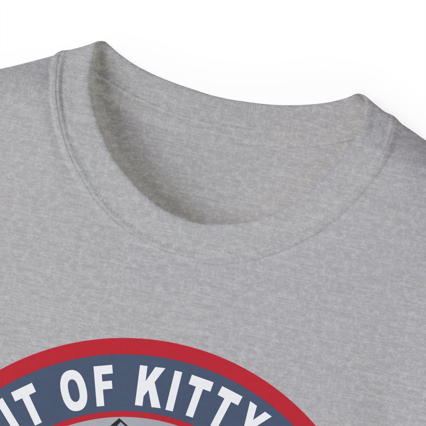 Unisex Ultra Cotton Tee -USAF - B2 - Spirit of Kitty Hawk - Stealth Bomber wo txt X 300