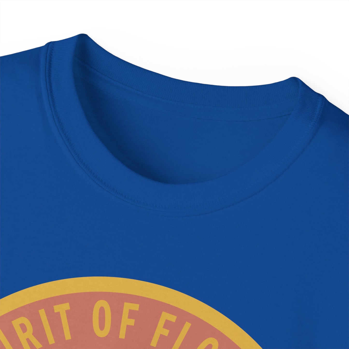 Unisex Ultra Cotton Tee - USAF - B2 - Spirit of Florida - Stealth Bomber wo txt X 300